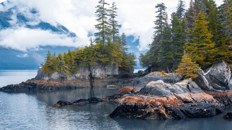 Viaggio in alaska