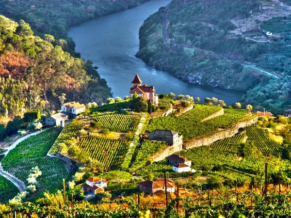Attraversare la Valle del Douro, ammirando vigneti terrazzati e panorami fluviali nel nord del Portogallo