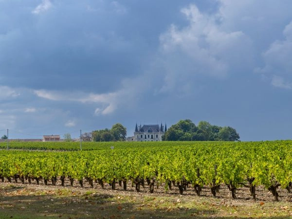 Scoprire Château Margaux, prestigiosa tenuta vinicola francese famosa per i suoi grandi vini di Bordeaux