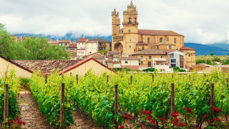 Viaggio attraverso le strade del vino