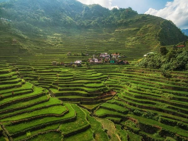 Banaue è famosa per le sue terrazze di riso a gradoni