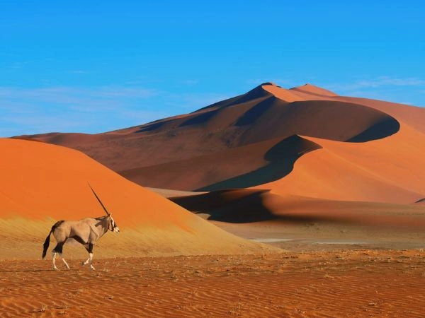 Viaggiare fuori stagione