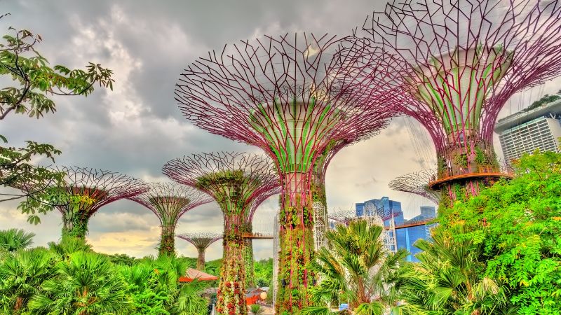 Viaggio a Singapore