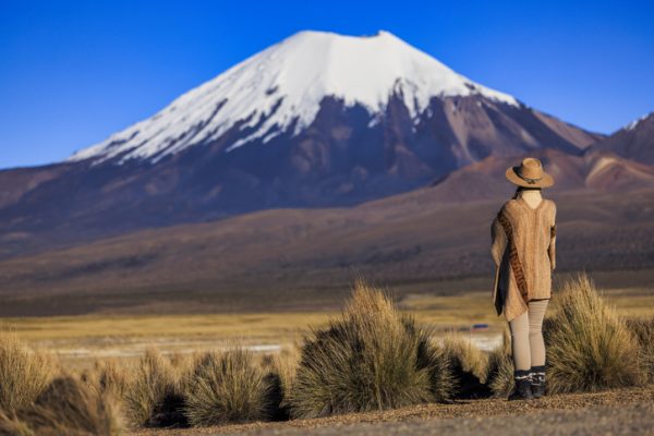 Il-Parco-Nazionale-Lauca-nel-nord-del-Cile-e-uno-degli-angoli-piu-spettacolari-dellaltopiano-andino