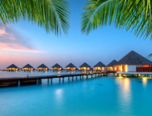 Escursioni alle Maldive per una vacanza attiva