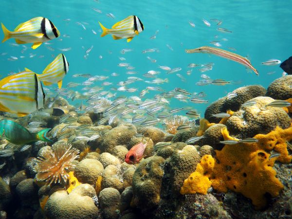 viaggio alle Isole San Blas