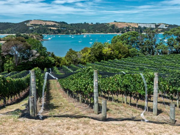 Waiheke Island
