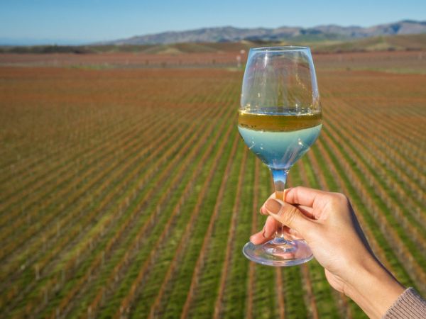 tour privati di cantine