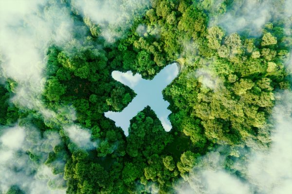 aereo-in-mezzo-al-verde-sagoma-viaggi-del-2025