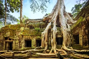 cambogia-tra-alberi-e-pietre