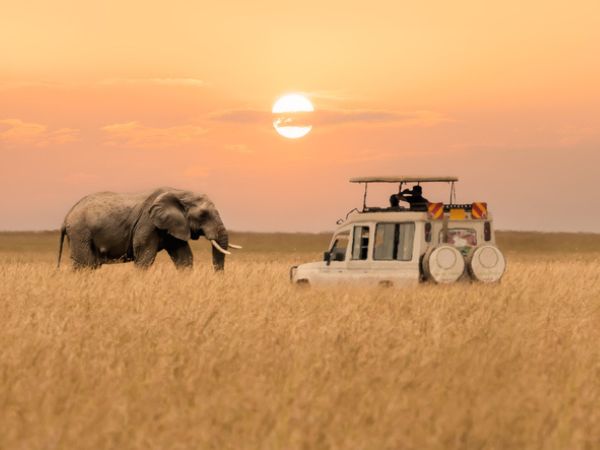 turismo responsabile in Africa