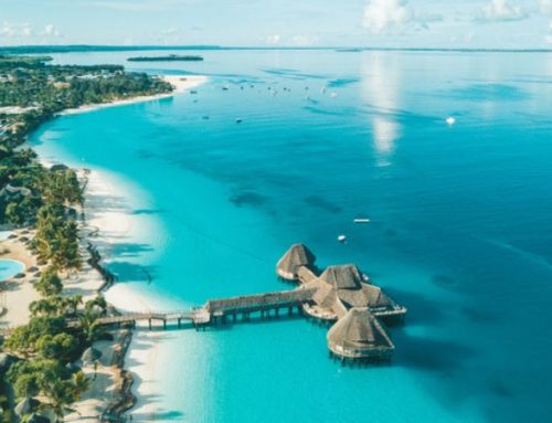 Dalla savana alle spezie: Safari e Zanzibar, il sogno d’Africa in estate