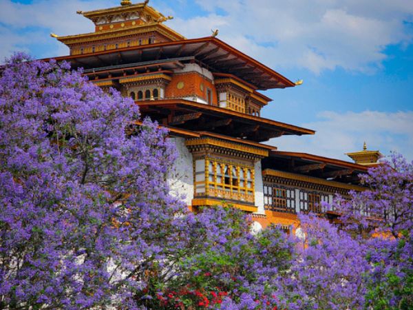 Punakha Dzong in Bhutan