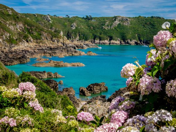 Guernsey