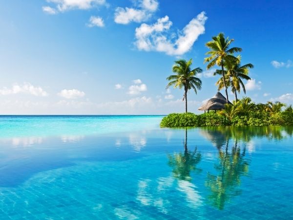 Paradiso tropicale