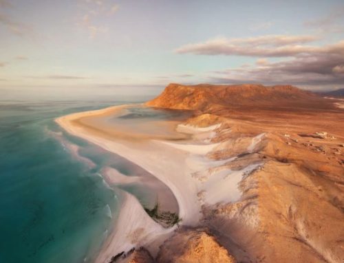 Socotra: la Galápagos dell’Arabia per viaggiatori esperti