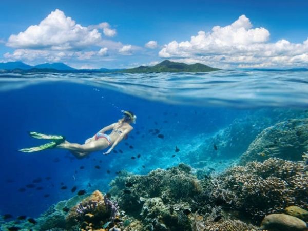 Snorkeling indonesia