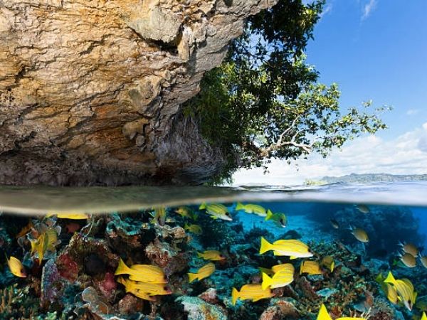 Raja Ampat