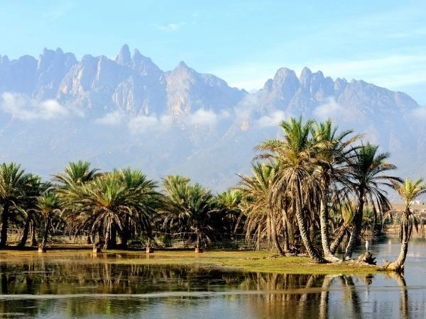 socotra yemen