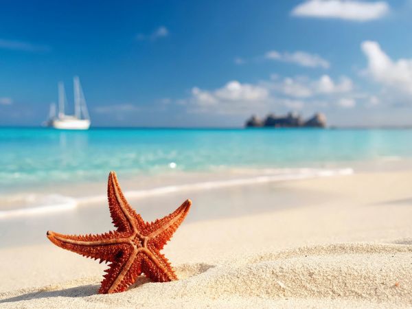 Clima tropicale e città moderne rappresentano diverse destinazioni di viaggio