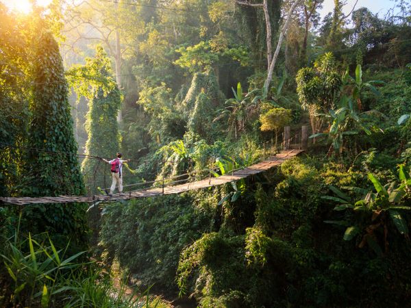 Escursionista su ponte nella giungla durante un viaggio nella natura
