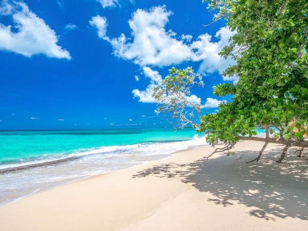 La differenza tra le spiagge non è estetica, ma funzionale