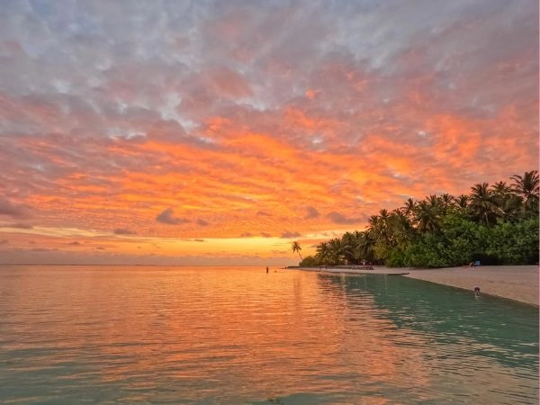 Le Maldive sono isole coralline piatte, a filo d'acqua, con un paesaggio quasi surreale, il verde delle palme, il bianco della sabbia, il turchese del mare.