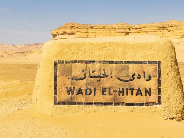 Uno dei siti più straordinari dell'intera regione è Wadi Al Hitan, conosciuta come la Valle delle Balene.