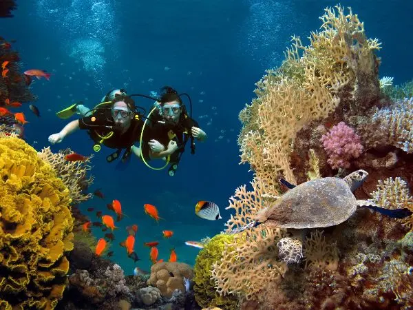 Viaggio alle Maldive con subacquei e appassionati di snorkeling che esplorano una barriera corallina colorata, con pesci tropicali e acque turchesi cristalline. Viaggio alle Maldive con subacquei e appassionati di snorkeling che esplorano una barriera corallina colorata, con pesci tropicali e acque turchesi cristalline.