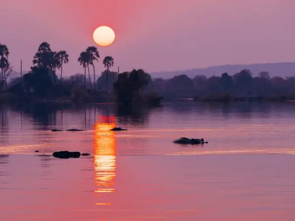 Tramonto africano sul fiume Zambesi tra ippopotami e paesaggi incontaminati