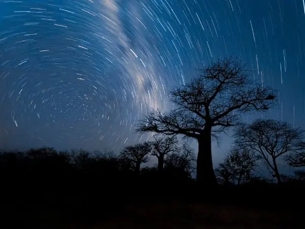 Luna di miele in Zimbabwe tra safari esclusivi e cieli notturni spettacolari