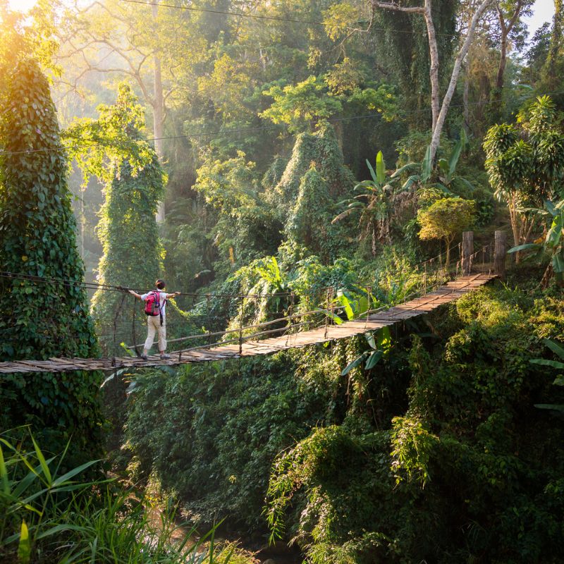 Viaggi su misura per chi viaggia da solo: strutture selezionate, itinerari personalizzati e assistenza completa per un’esperienza sicura e senza stress